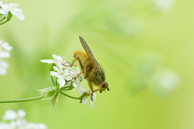 BUITEN BEELD Foto: 26053