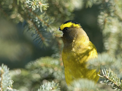BUITEN BEELD Foto: 26173