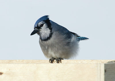 BUITEN BEELD Foto: 26176