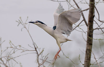 BUITEN BEELD Foto: 26177