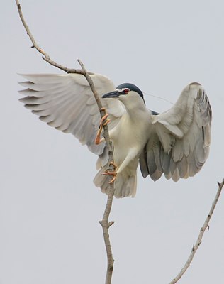 BUITEN BEELD Foto: 26185