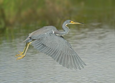 BUITEN BEELD Foto: 26254