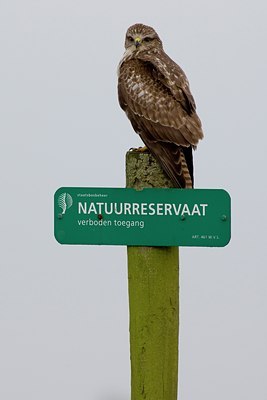 BUITEN BEELD Foto: 26272
