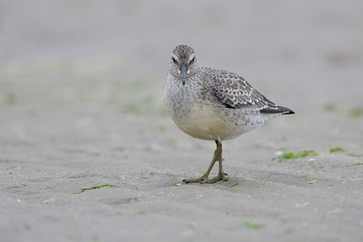 BUITEN BEELD Foto: 26353
