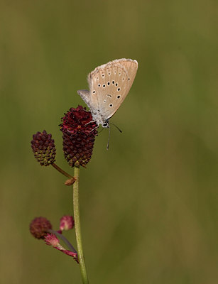 BUITEN BEELD Foto: 26456