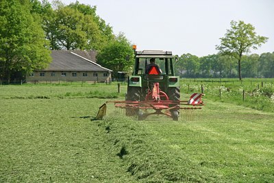 BUITEN BEELD Foto: 26493