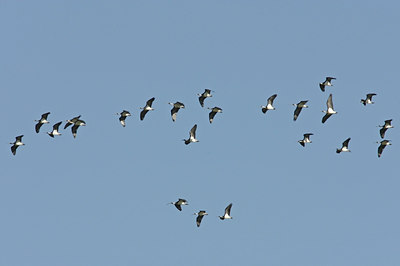 BUITEN BEELD Foto: 26576