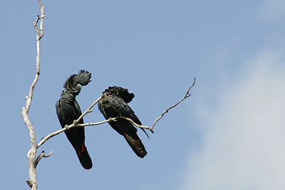 BUITEN BEELD Foto: 26581