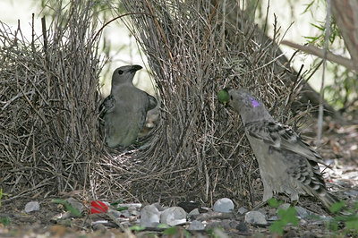 BUITEN BEELD Foto: 26595