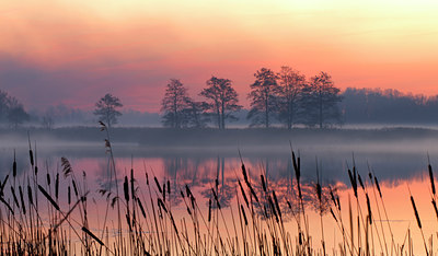 BUITEN BEELD Foto: 26690