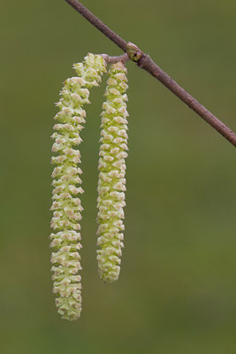 BUITEN BEELD Foto: 26694