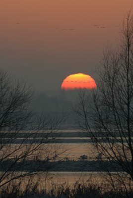 BUITEN BEELD Foto: 26700