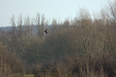 BUITEN BEELD Foto: 26734