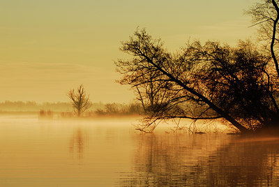 BUITEN BEELD Foto: 26792