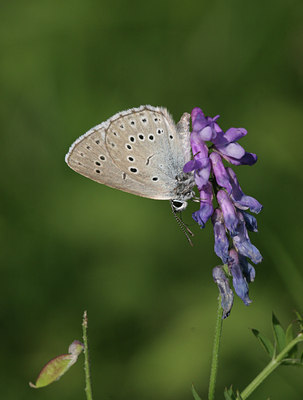 BUITEN BEELD Foto: 26852