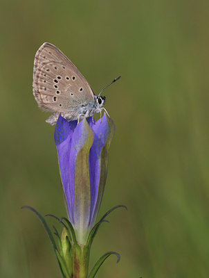 BUITEN BEELD Foto: 26854