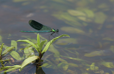 BUITEN BEELD Foto: 26858