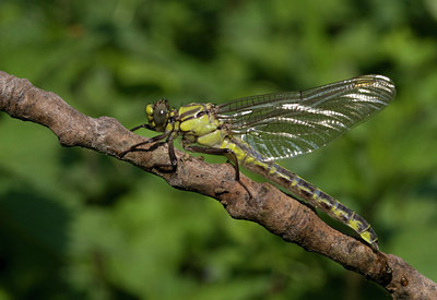 BUITEN BEELD Foto: 26866