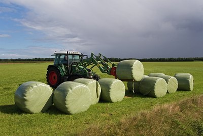 BUITEN BEELD Foto: 26869