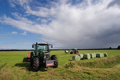 BUITEN BEELD Foto: 26870