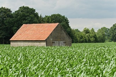 BUITEN BEELD Foto: 26873