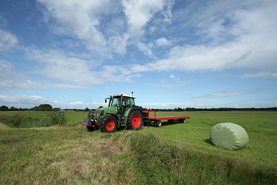 BUITEN BEELD Foto: 26876