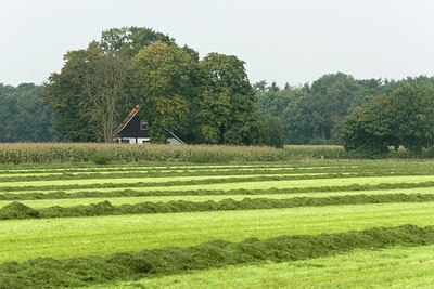 BUITEN BEELD Foto: 26879