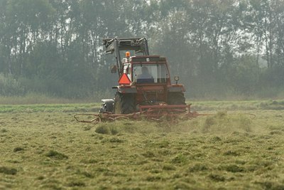 BUITEN BEELD Foto: 26885