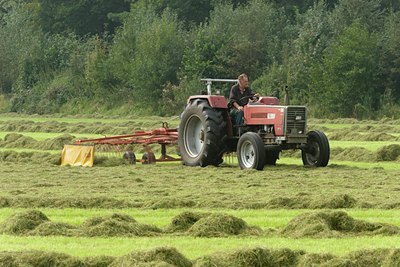 BUITEN BEELD Foto: 26888