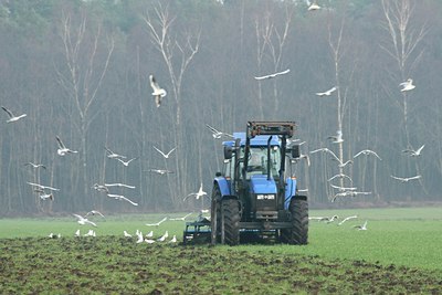 BUITEN BEELD Foto: 26889