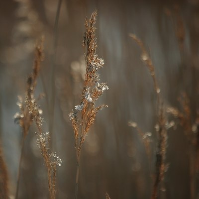 BUITEN BEELD Foto: 26904