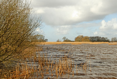 BUITEN BEELD Foto: 26923