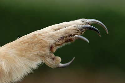 BUITEN BEELD Foto: 26939