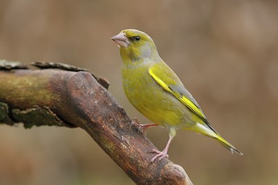 BUITEN BEELD Foto: 26941