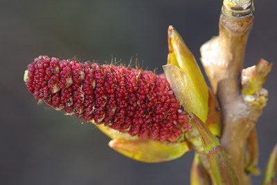 BUITEN BEELD Foto: 26972