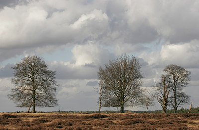 BUITEN BEELD Foto: 26998