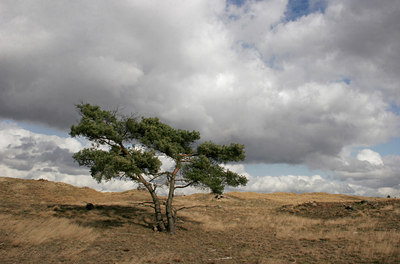BUITEN BEELD Foto: 26999