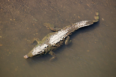 BUITEN BEELD Foto: 269002