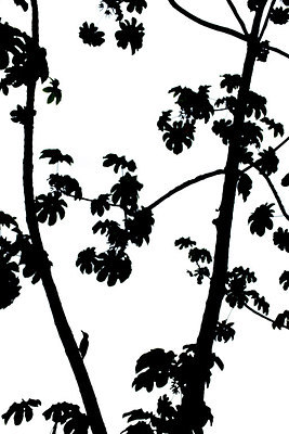 BUITEN BEELD Foto: 269015