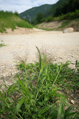 BUITEN BEELD Foto: 269073