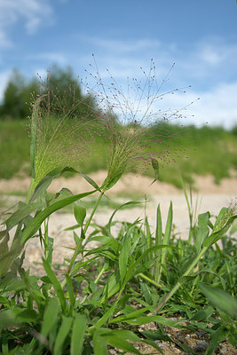 BUITEN BEELD Foto: 269074