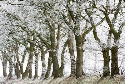 BUITEN BEELD Foto: 269087