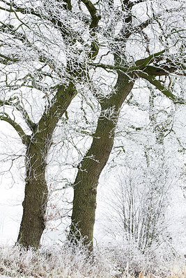 BUITEN BEELD Foto: 269088
