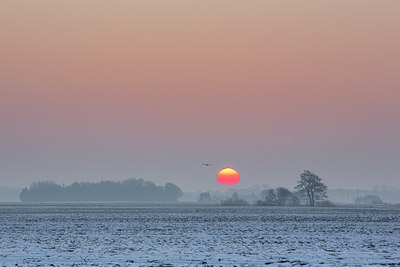 BUITEN BEELD Foto: 269090