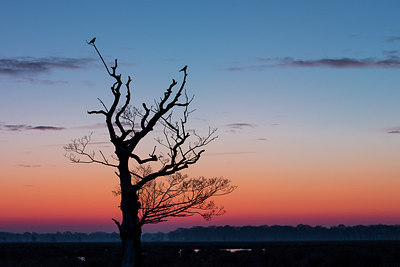 BUITEN BEELD Foto: 269093
