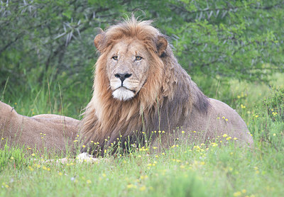 BUITEN BEELD Foto: 269114