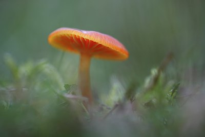 BUITEN BEELD Foto: 269139