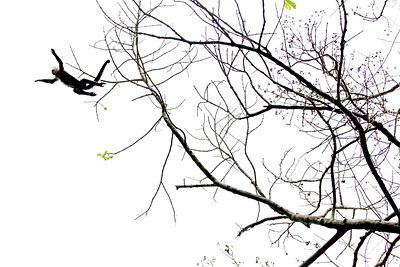 BUITEN BEELD Foto: 269150