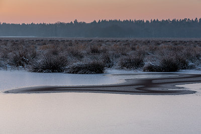 BUITEN BEELD Foto: 269155