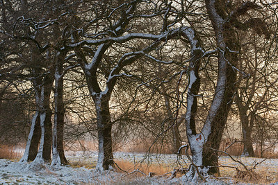 BUITEN BEELD Foto: 269156